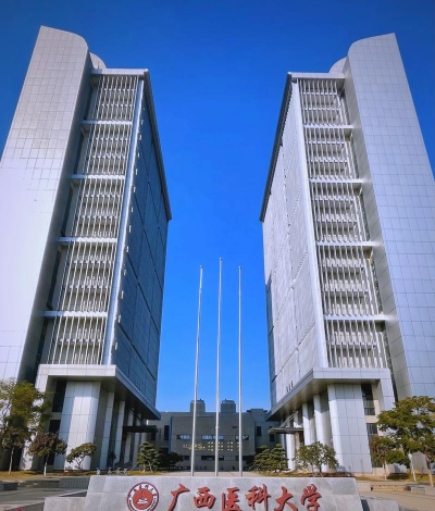 多少大学落户武鸣