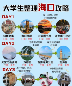 海口走了多少大学生
