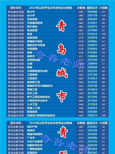 青岛城市学院录取分数线2024年多少分?