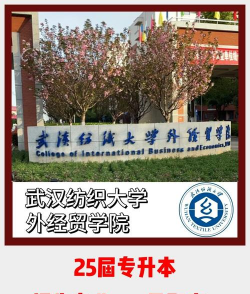 武汉纺织大学外经贸学院的学校代码是什么