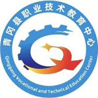 青冈县职业技术教育