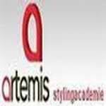 ARTEMIS学院