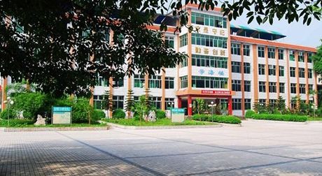 四川省遂宁市桂花职