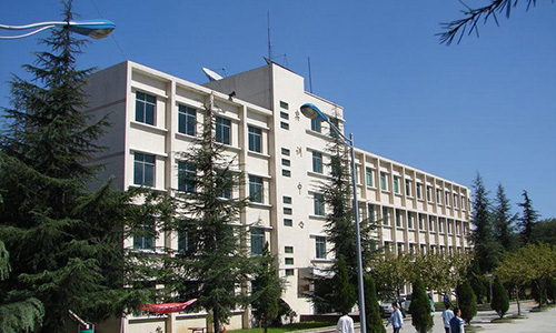 大同市兴同艺术师范