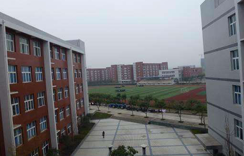 石家庄博艺美术中等