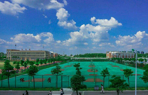 策勒县达玛沟乡职业