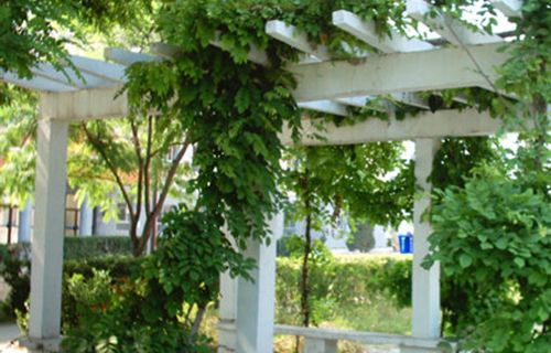 黄山市黄山区卫生进