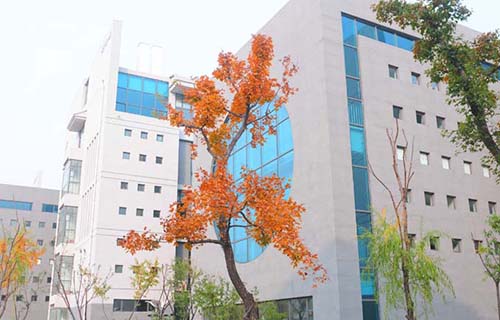 临沂市劳动局第二技