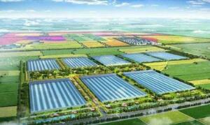 山东德州农业学校