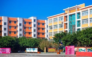 北京市大兴区大辛庄中学